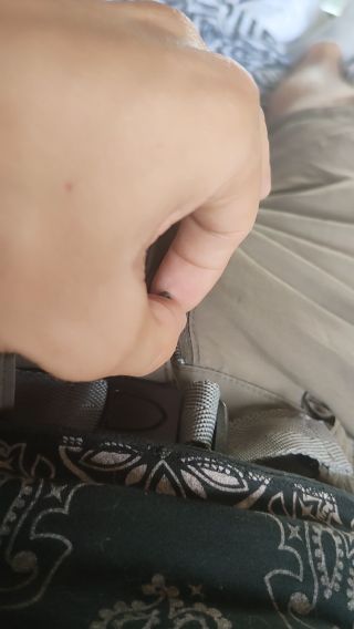 VID20230817140031.mp4