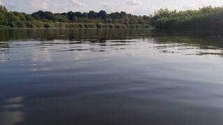 20230722_183053.mp4