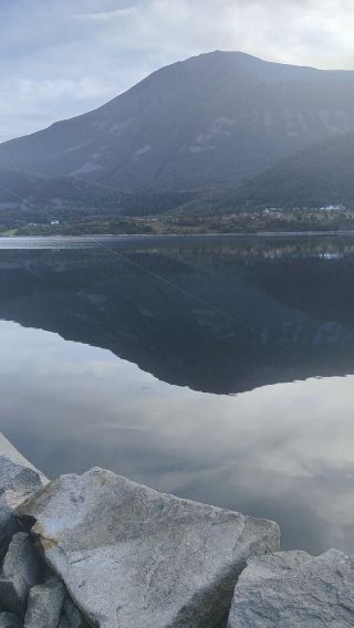 1000002276.mp4