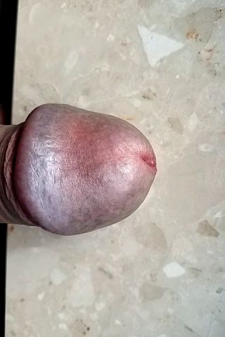 VID20230808081549.mp4