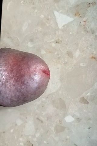VID20230808081549.mp4