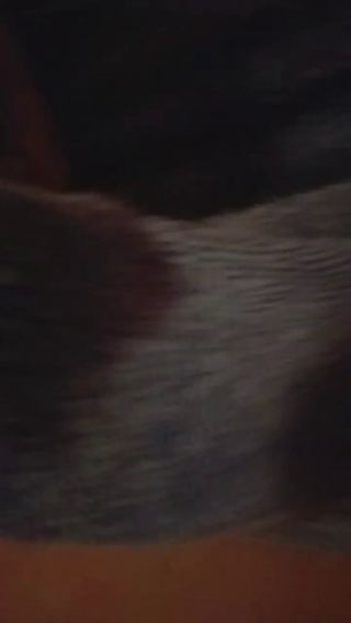 20230826_174918-1.mp4