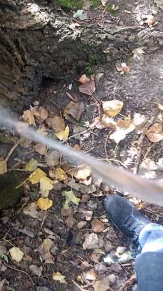 VID_20231005_142856.mp4