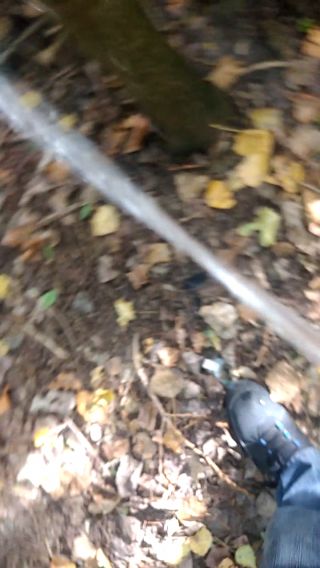 VID_20231005_142856.mp4