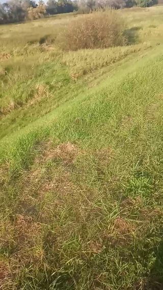 VID_20231006_161101.mp4