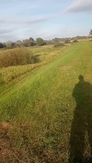 VID_20231006_161101.mp4
