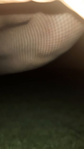 20231022_010102.mp4