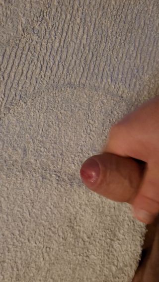 Tygrys0666
