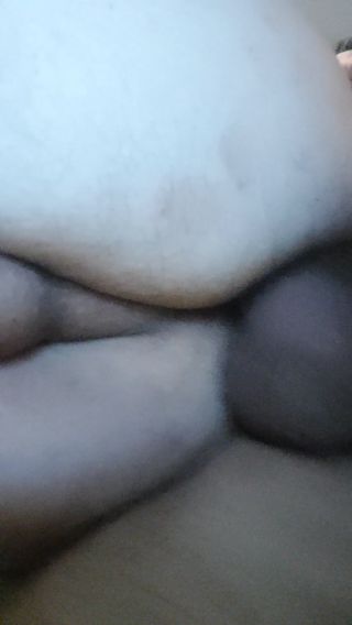 Niunio337