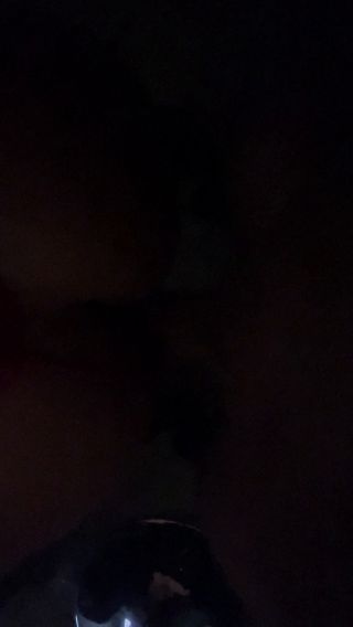Sexibodies