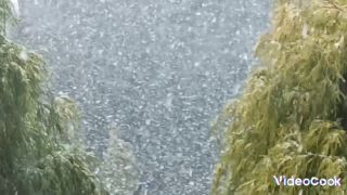 ❄☃️⛄