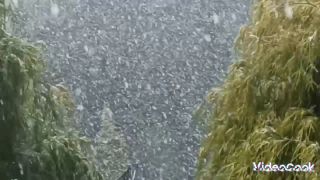 ❄☃️⛄