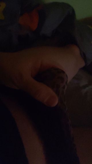 VID_20231120_074701.mp4