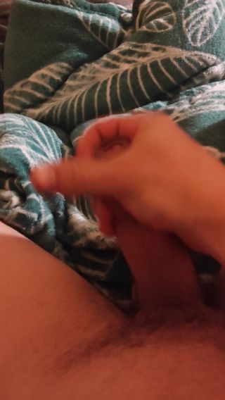 VID_20231127_153750.mp4