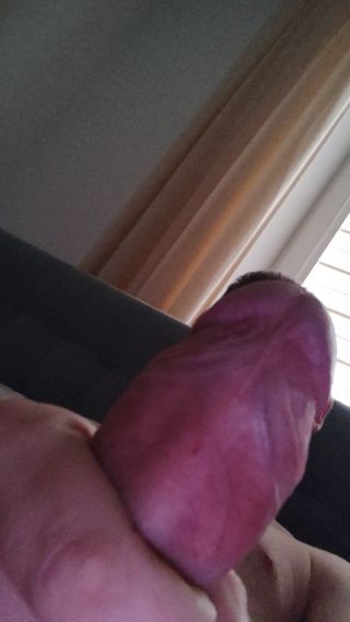 kutacz0593