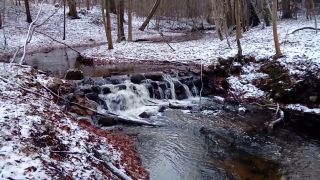 20231126_150426.mp4
