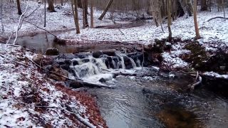 20231126_150426.mp4