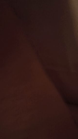 Michal_ck3
