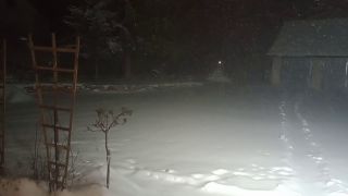 VID_20231202_163932711.mp4