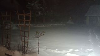 VID_20231202_163932711.mp4