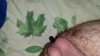 VID_20231210_001140.mp4