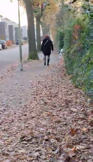 received_1145554760183349.mp4