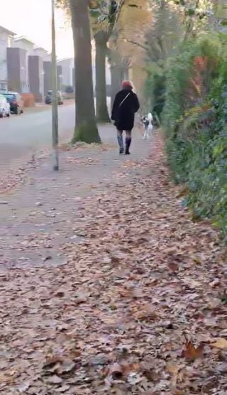 received_1145554760183349.mp4