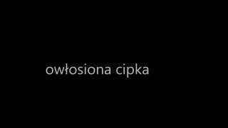 Mój film.mp4