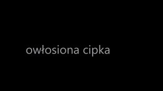 Mój film.mp4