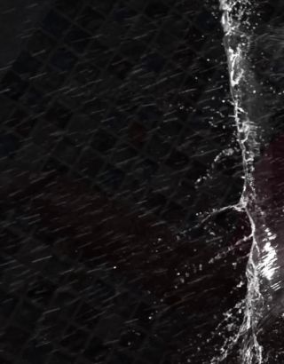 lv_7319780412291648770_20240112235301.mp4