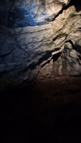 20231015_112210.mp4