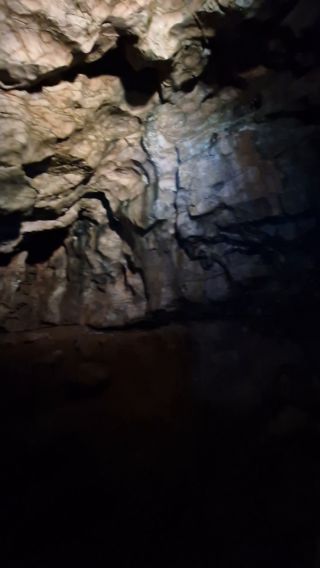20231015_112210.mp4