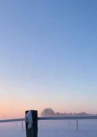 07bc0a16-2945-4203-aaae-69bf940af8e3.mov