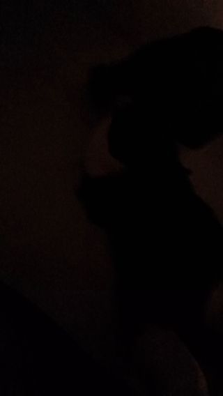 VID20240124020032.mp4
