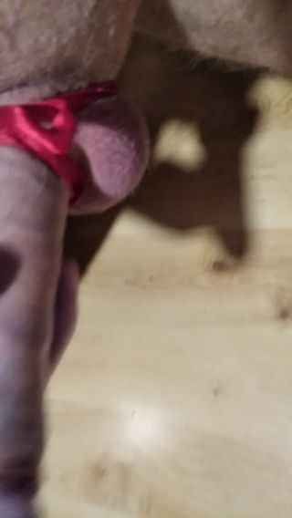 VID_20240131_095239[1].mp4