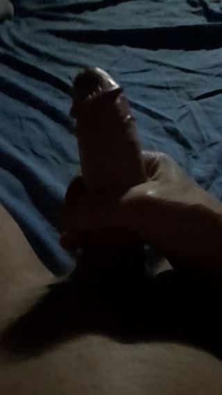 tomasek27