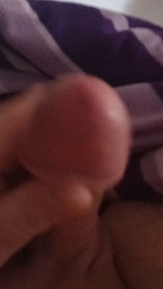VID_20240206_102813.mp4