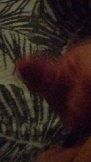 VID_20240208_061120003.mp4
