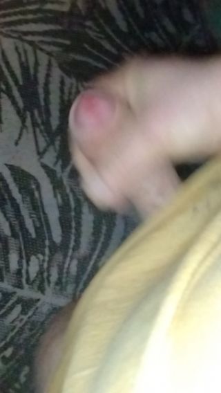 VID_20240208_061202709.mp4