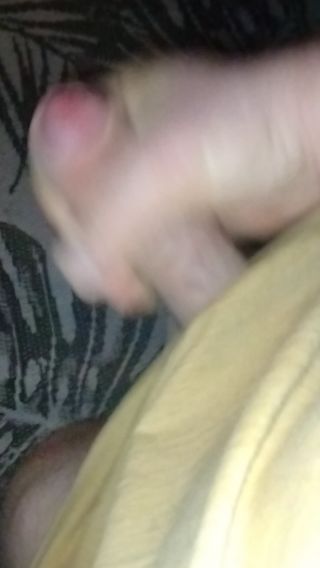 VID_20240208_061202709.mp4