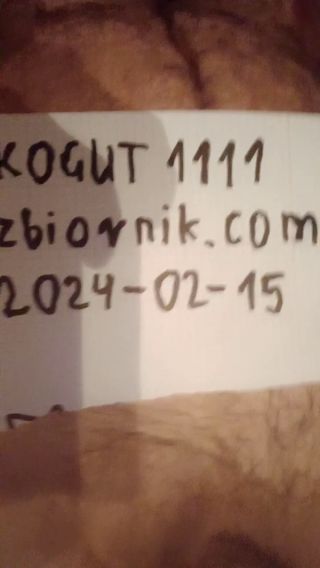 Kogut1111