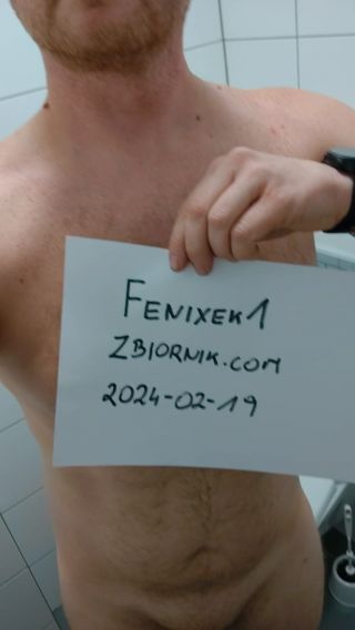 Fenixek1