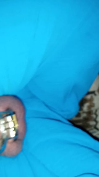 VID_20240216_211317.mp4