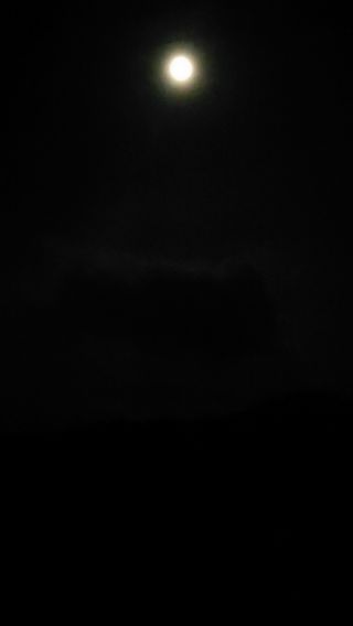 VID_20240227_002550.mp4