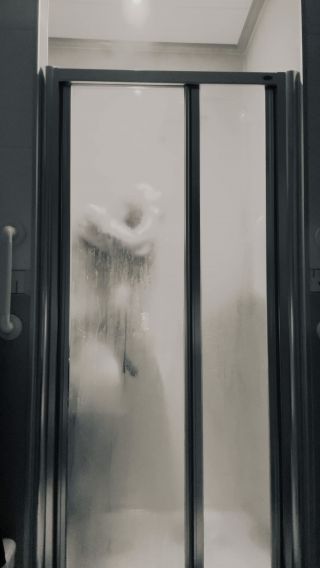 FuckSheep