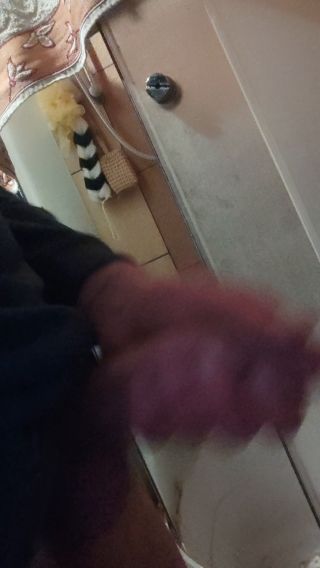 Topek31LDZ