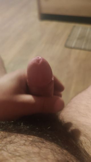 Kocurooo33