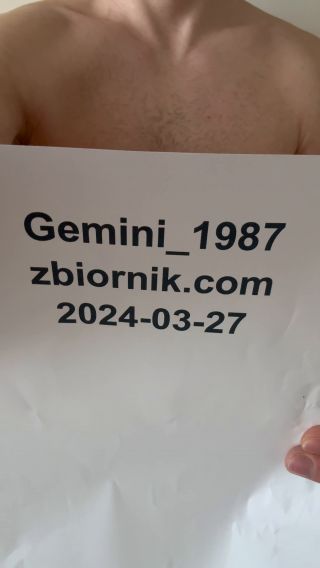 Gemini_1987