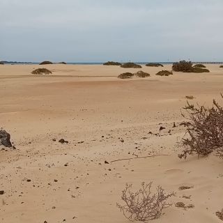 20240114_110113.mp4