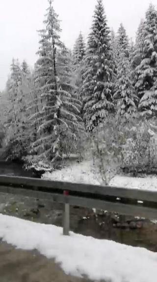 video.mp4